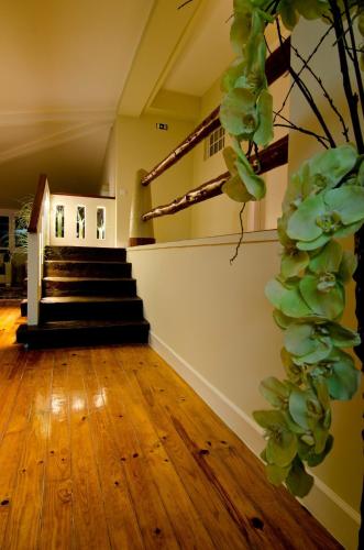 Estalagem Muchaxo Hotel - image 2