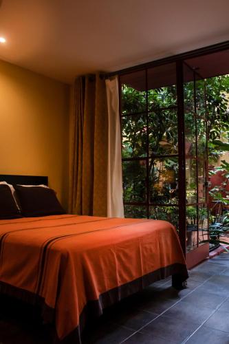 The Red Tree House – Mexico City, CT