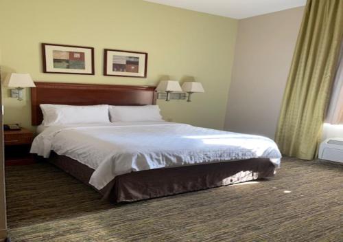 Queen Studio Suite