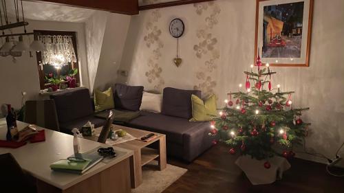 Froeschlein - no craftsmen fitters in Ilmenau