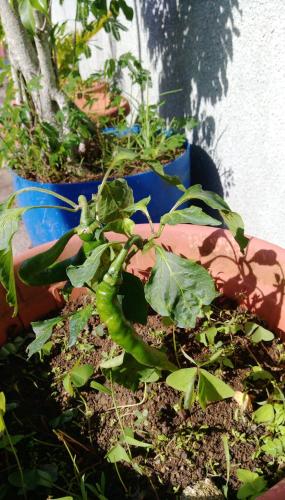 Charming studio with sea-view terrace in Souillac - 22 m².