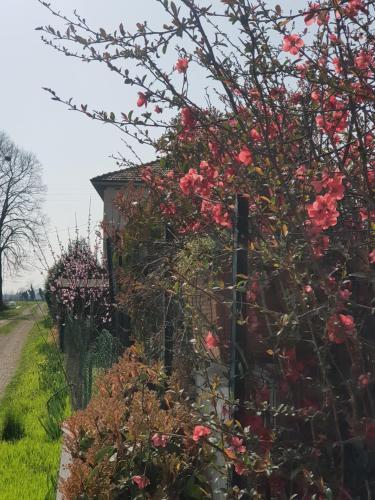 Az.Agr.Cascina Moretta