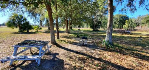 Quality Inn White Springs Suwanee - image 6