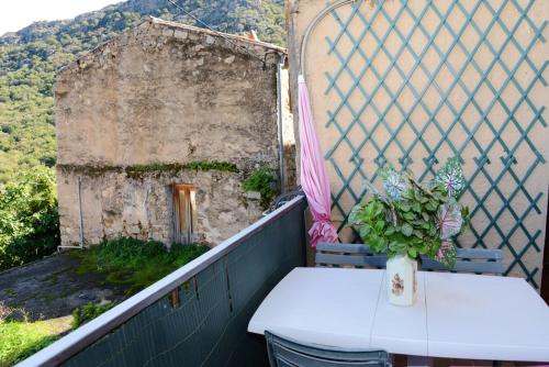Apartment with 2 bedrooms in Muro with wonderful sea view and furnished terrace - image 12