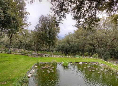 Apartment with 2 bedrooms in Moltifao with wonderful mountain view furnished garden and WiFi 20 km from the slopes - image 8