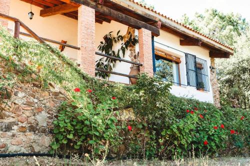 3 bedrooms villa with private pool enclosed garden and wifi at Monesterio