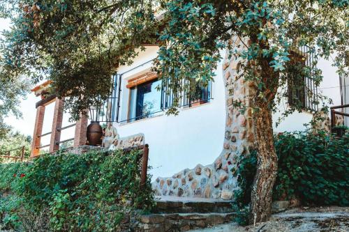 3 bedrooms villa with private pool enclosed garden and wifi at Monesterio
