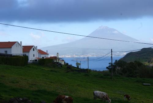  2 bedrooms house at Horta 800 m away from the beach with sea view enclosed garden and wifi in Conceição