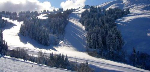 Studio in Les Gets with wonderful mountain view furnished garden and WiFi 300 m from the slopes - image 2