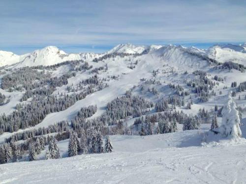 Studio a Les Gets a 300 m des pistes avec jardin et wifi