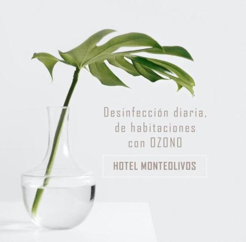 AACR Hotel Monteolivos, Sevilla (fotografie 4)