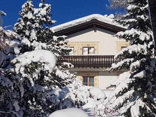 Tgampi saura 395 Rü in Lenz, Schweiz