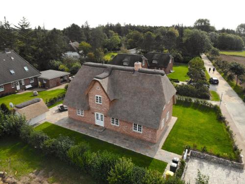 Reethus Febitz - image 3