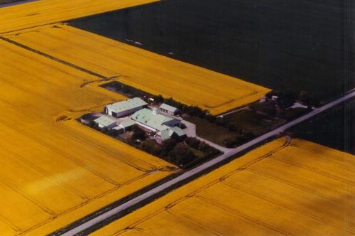 Beens Hallig in Reussenkoge