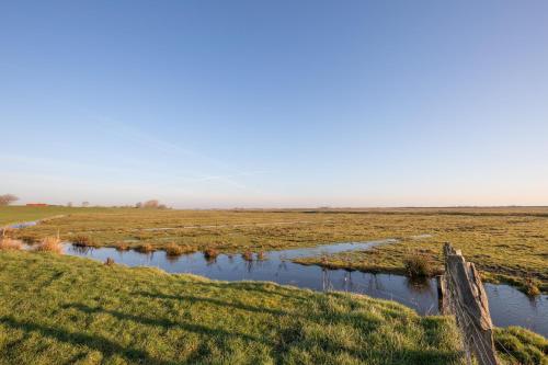 Deichherz 1869 - image 18