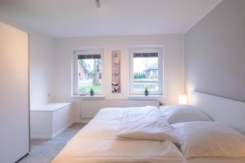 Krokusliebe, Husum (fotografie 10)