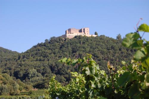 Landgasthof Jägerstübchen - image 13
