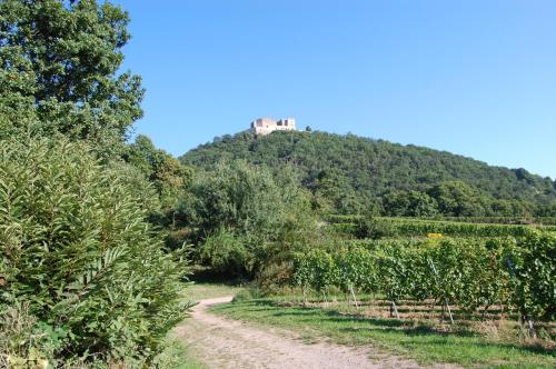 Landgasthof Jägerstübchen