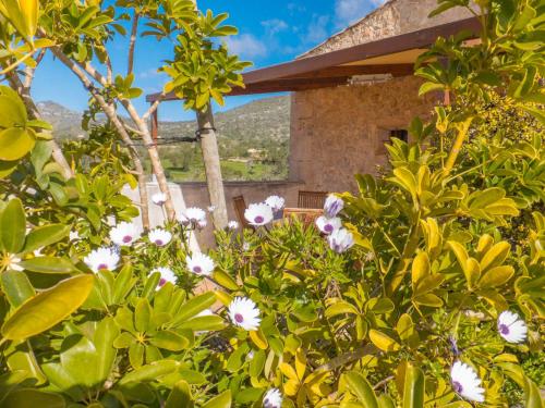 Finca Hotel Ses Cases Noves