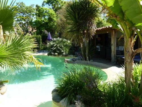 GITE LA PLUME gîte à louer Saint-Pierre