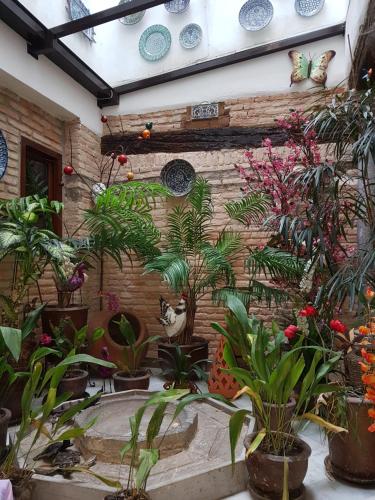 Pensión Alfin - image 2