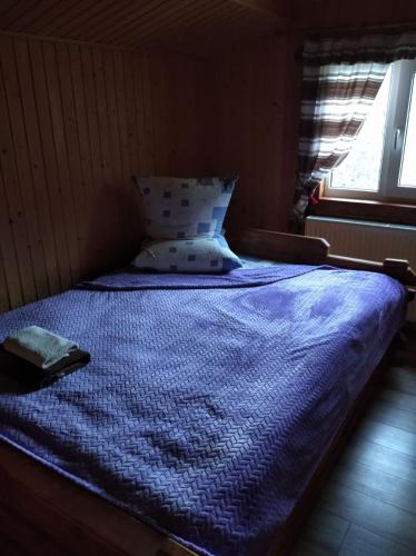 Говерлянка, Worochta (zdjęcie 9)