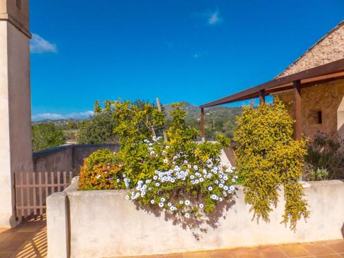 Finca Hotel Ses Cases Noves