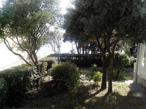  Apartment Marina in Petrčane