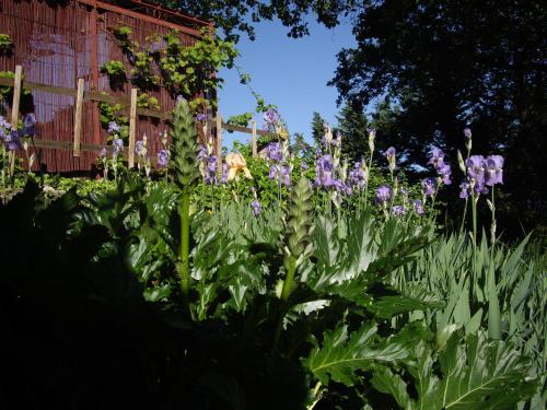 La bastide de Mauragne - Gîte les Iris