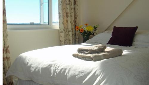 Harlequin Guest House with parking in Weymouth