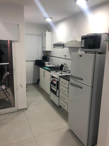 . Departamento Piamonte