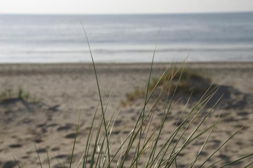 Pantai, Hampton home B&B suites in Texel