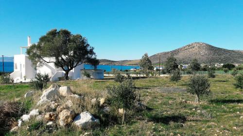 Agiassos Naxos Apartments