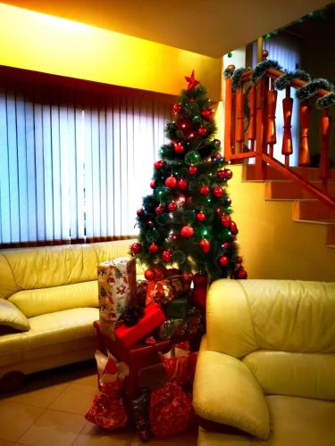 Family Hotel LILI 4