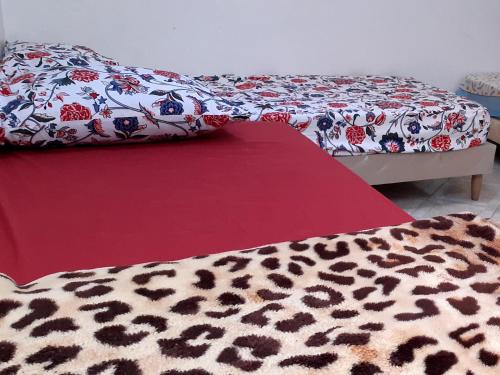 Zitouna Rooms, Casablanca (Foto 7)