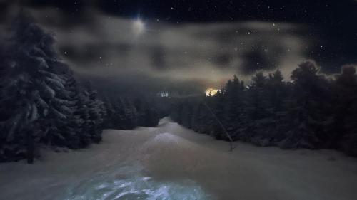 Ferienwohnung-direkt-am-skihang - image 2