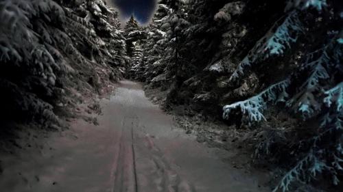 Ferienwohnung-direkt-am-skihang - image 7