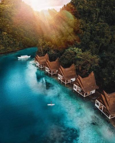 Club Tara Resort