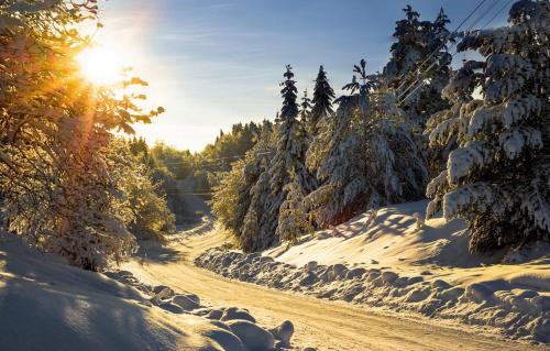 Apartman NERA - u Kraljevim čardacima Kopaonik - image 2