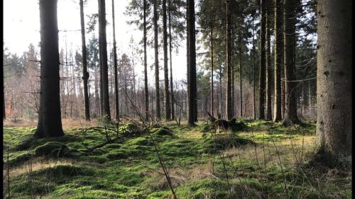 Ümbrus, Mooiverblijf in Oosterwolde