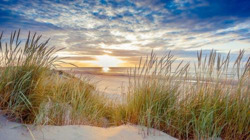 Appartement, Kaap 123 - Ameland