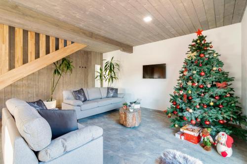 Green Resort Bran - image 7