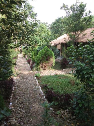 Chital lodge in Meghauli