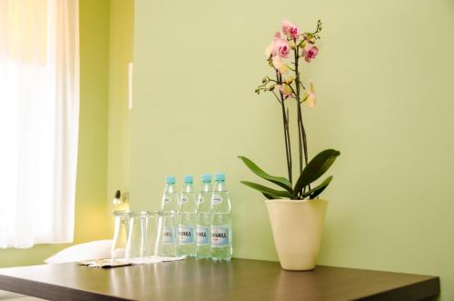 Doby Hotelowe Placebo