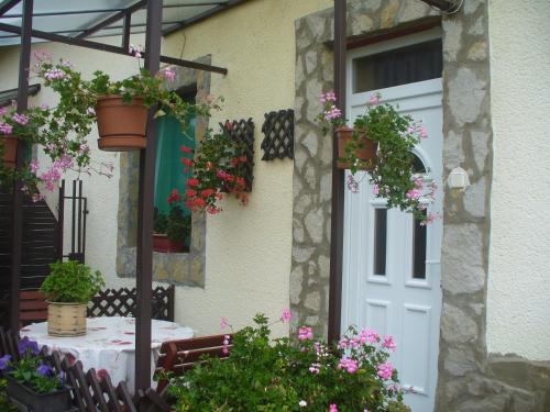 Pleiveisz Apartman in Péntekfalu