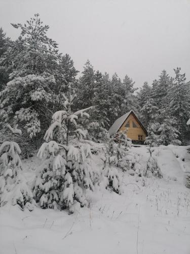 Holiday Home room in Garac Zlatibor Vikendica