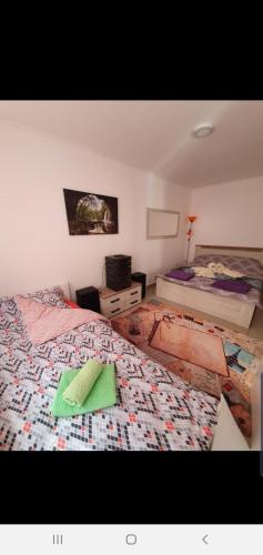 Pejovic apartmani - image 5