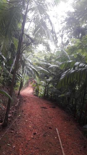 Sítio para Famílias em Pomerode - Santa Catarina