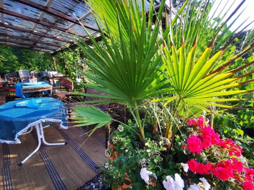 Ferienhaus mit riesen Garten, drei Terrassen, toller Aussicht am Waldrand, auch als Monteur-Wohnung