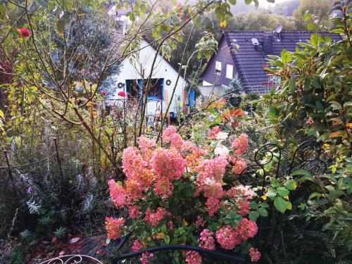 Ferienhaus mit riesen Garten, drei Terrassen, toller Aussicht am Waldrand, auch als Monteur-Wohnung